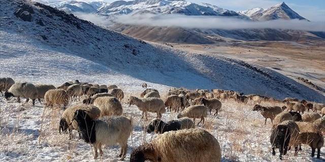 Şırnak'taki Faraşin Yaylası'na mevsimin ilk karı yağdı