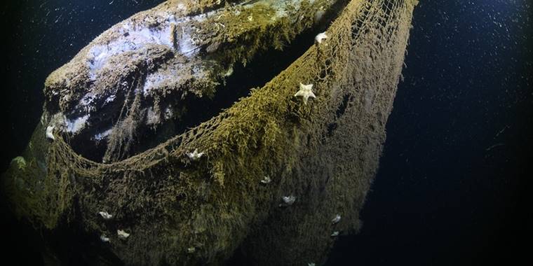 Denizlere bir yılda düşürülen balık ağları dünyanın etrafını 18 kez sarabilir