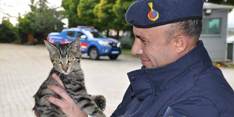 Kedi 'Gümüş'e sahip çıkan jandarma, topladığı parayla ameliyatını da yaptırdı