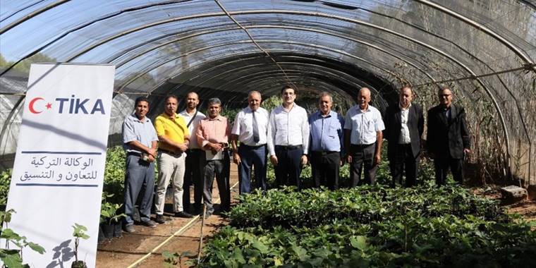 TİKA'dan Tunuslu çiftçilere incir fidesi desteği