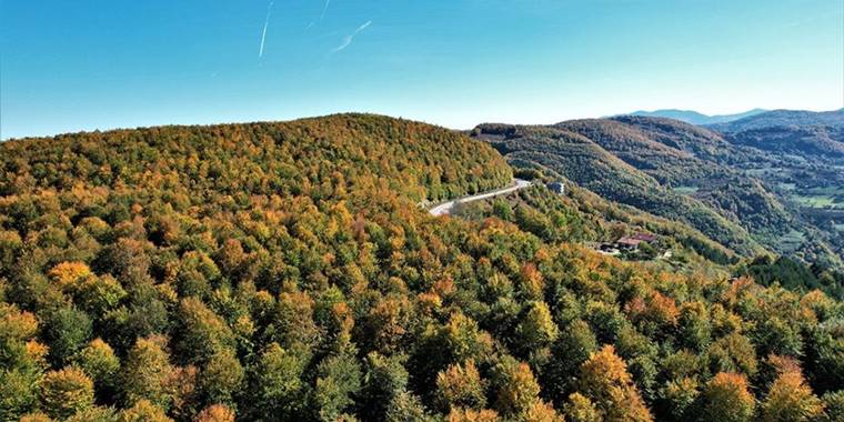 Kastamonu'nun Karadeniz'in mavisiyle bütünleşen ormanlarında sonbahar manzaraları hüküm sürüyor