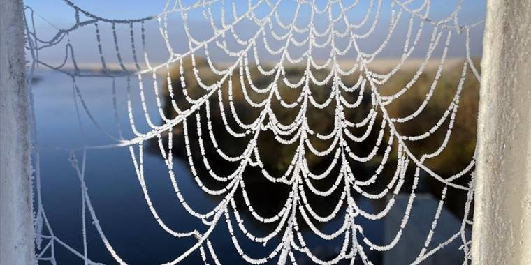 Ardahan ve Kars'ta soğuk hava nedeniyle kırağı oluştu