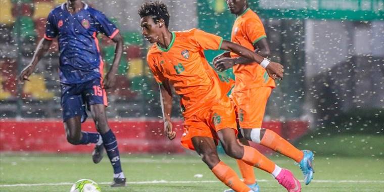 Moritanya'da stadyumdaki böcek istilası nedeniyle maç ertelendi