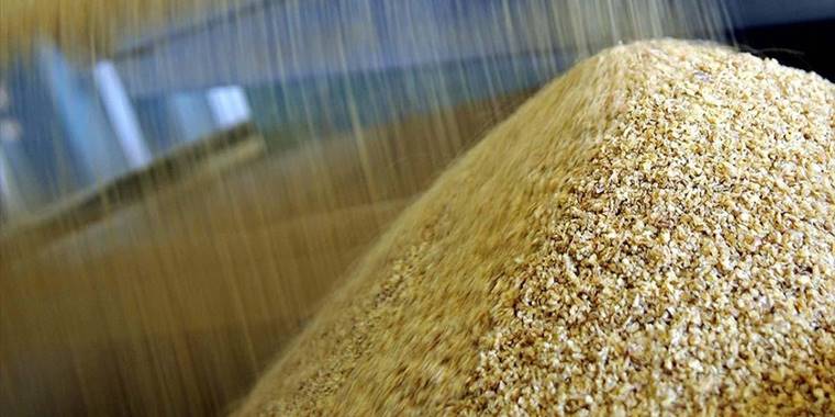 Pakistan Rusya'dan 300 bin ton buğday ithalatı planını onayladı