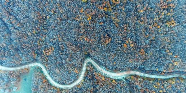 Boyalı Dağı'nın tabloyu andıran ağaçları dronla görüntülendi