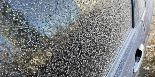 Ardahan ve Kars'ta araç camları buz tuttu, bitkiler kırağıyla kaplandı