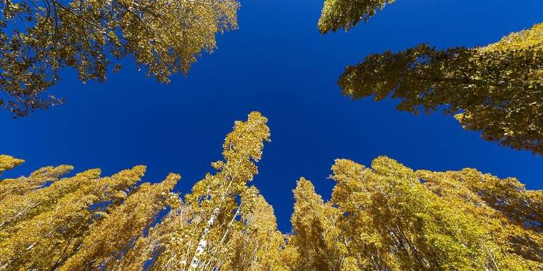 Erzurum kırsalındaki mahallerde sonbahar renkleri hakim oldu