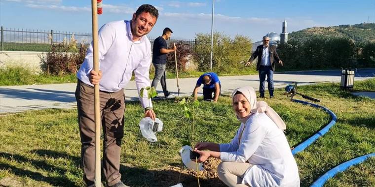 Beyşehir'de fidan dikimi