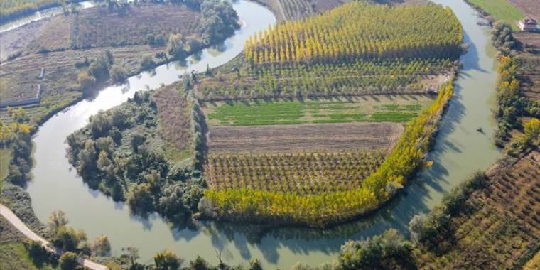 Melen Çayı çevresindeki ağaçlar hazan renkleriyle Sakarya'ya güzellik kattı