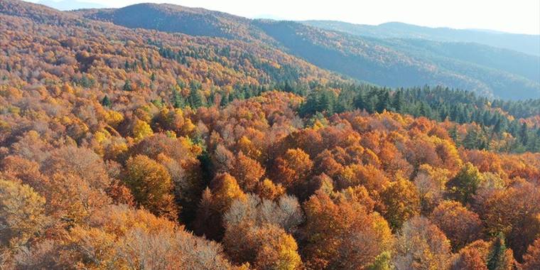 Kahramanmaraş'taki Akifiye Yaylası'na sonbaharın renkleri hakim oldu