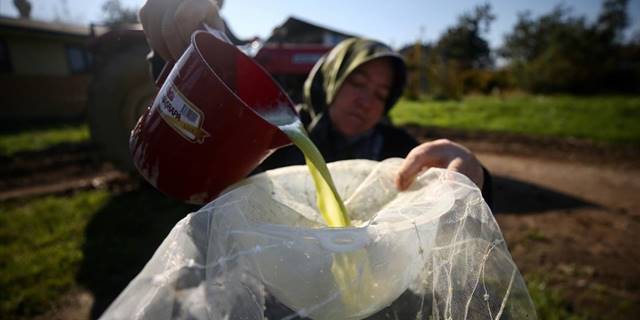 150 yıllık mengenede sıkılan şeker kamışlarının "pekmez" yolculuğu