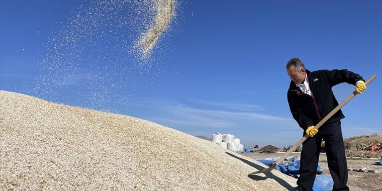 Emekli uzman çavuş memleketinde çiftçilik yapıyor
