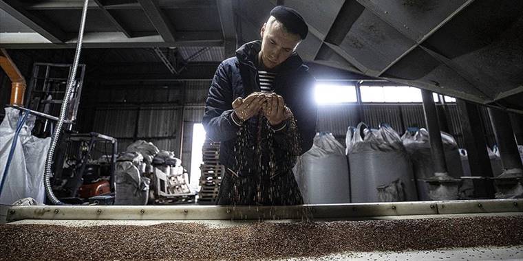 Tahıl koridoru anlaşmasında Türkiye'nin yer alması Ukrayna'da tüccarlara güven veriyor