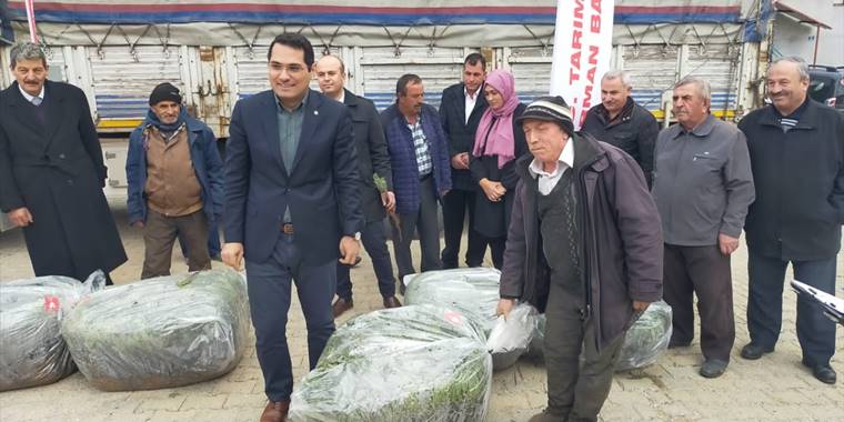 Hüyük'te üreticilere lavanta fidesi dağıtıldı