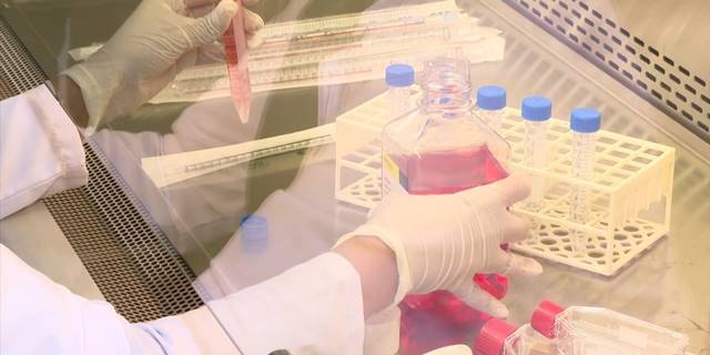 Açık yaraya temas eden hayvan salyası da kuduza neden olabiliyor