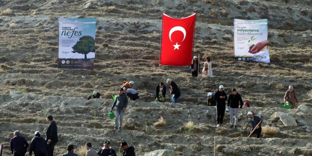 "Türkiye Yüzyılı'na Nefes" sloganıyla fidanlar toprakla buluşturuldu
