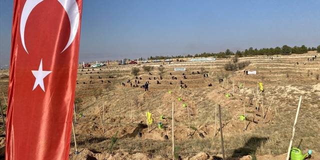 Nevşehir, Kırşehir ve Kayseri'de fidanlar toprakla buluşturuldu