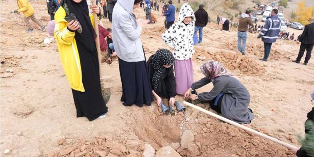 Yerköy ve Sorgun'da Milli Ağaçlandırma Günü'nde fidanlar toprakla buluşturuldu
