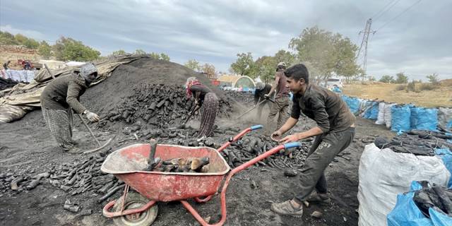 Memleketlerinden kilometrelerce uzakta mangal kömürü üretiyorlar