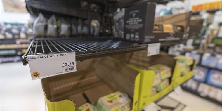 İngiltere'de bazı süpermarketlerde yumurta satışına sınırlama getirildi