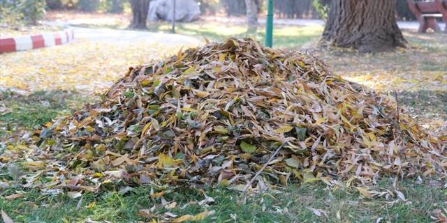 Sorgun Belediyesi, sonbaharda dökülen yaprakları gübreye dönüştürüyor