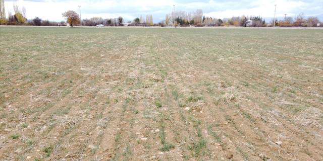 Konya'da çiftçiler yağmur duası yaptı