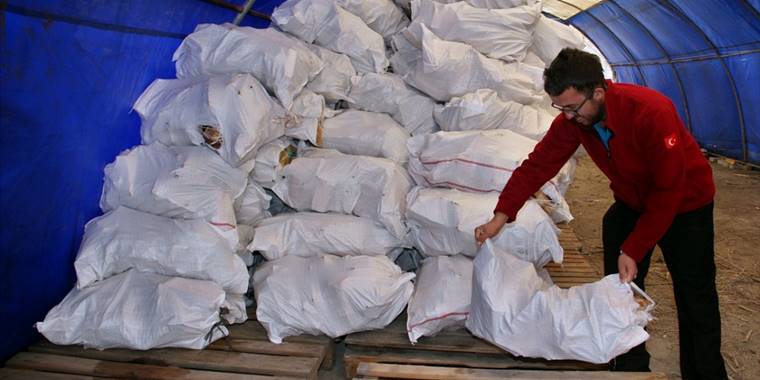 Beypazarı Belediyesinden ihtiyaç sahiplerine yakacak desteği