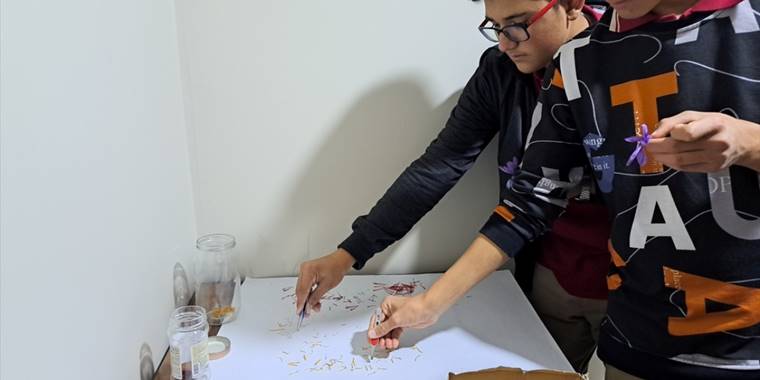 Çumralı öğrenciler okulda safran üretiyorlar