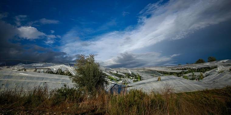 Antalya'da muz seraları hortumda zarar gördü