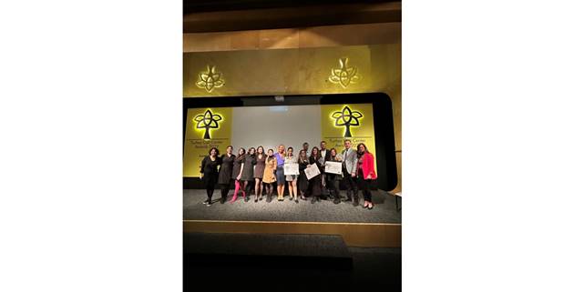 Vestel Müşteri Hizmetleri’ne 3 ödül birden