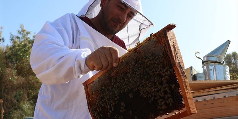 300 kovanı bulunan arıcı yeni meslektaşlar da yetiştiriyor