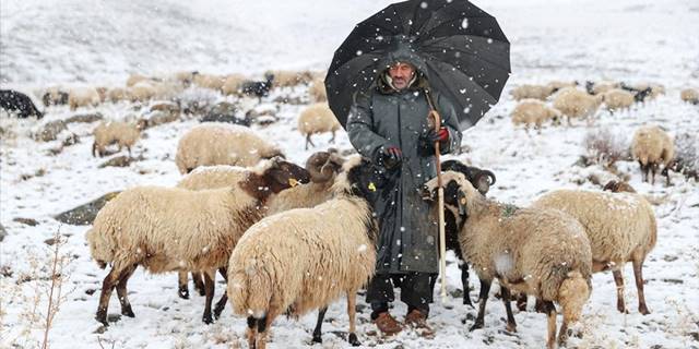 Van ve Hakkari'de kar etkili oldu