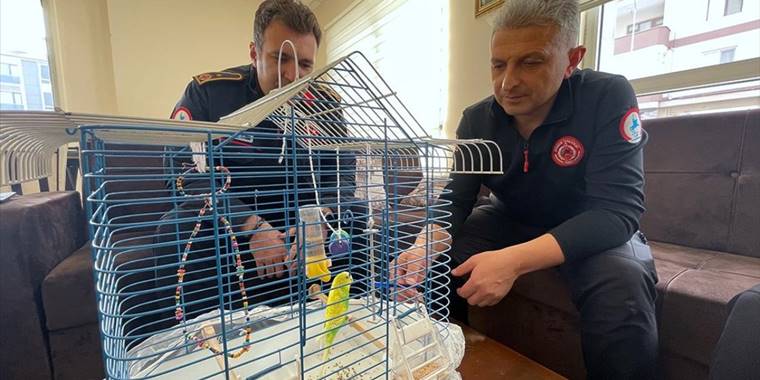 Hasarlı binadan kurtarılan muhabbet kuşu Düzce itfaiyesine emanet