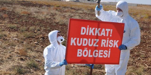 Kars'ta bir köy kuduz nedeniyle karantinaya alındı