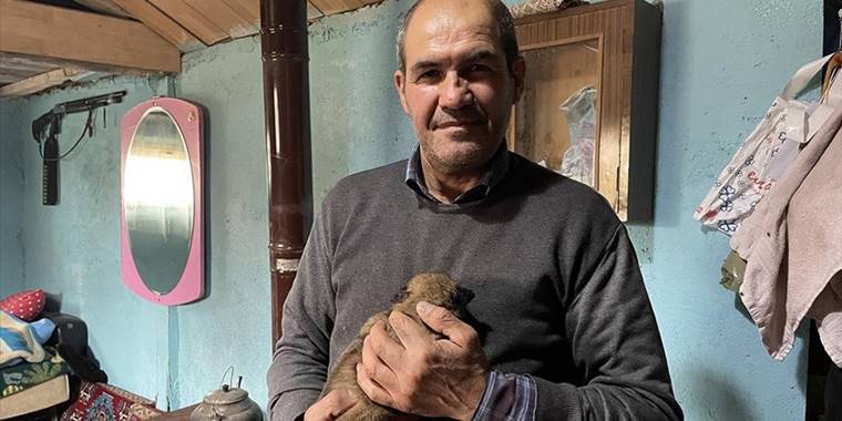 Sokakta donmak üzereyken bulduğu köpek yavrularını biberonla besliyor