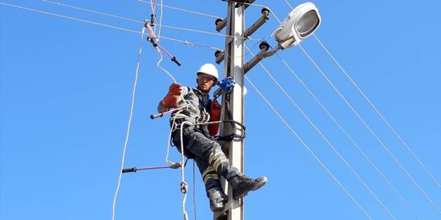 Kırıkkale'de elektrik direğinde mahsur kalan karga kurtarıldı