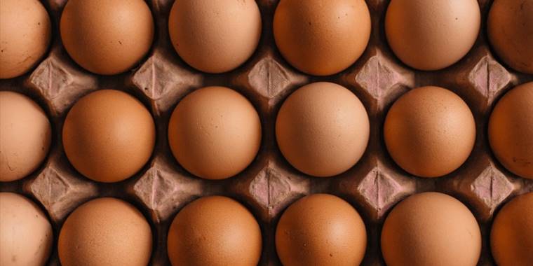 Suudi Arabistan ile ilişkilerde yeni dönem gıda ticaretine de kapı aralayacak