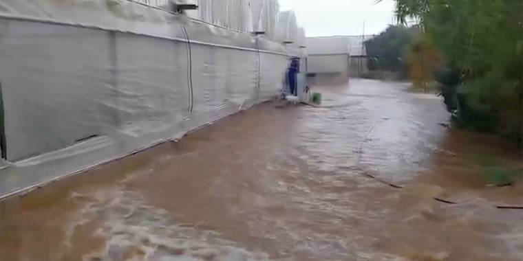 Antalya'da sağanak sera ve meyve bahçelerine zarar verdi