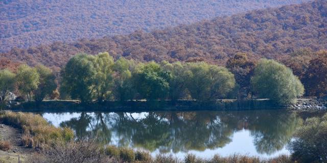 Kırşehir'in meşe ormanıyla kaplı küçük ilçesi: Akçakent