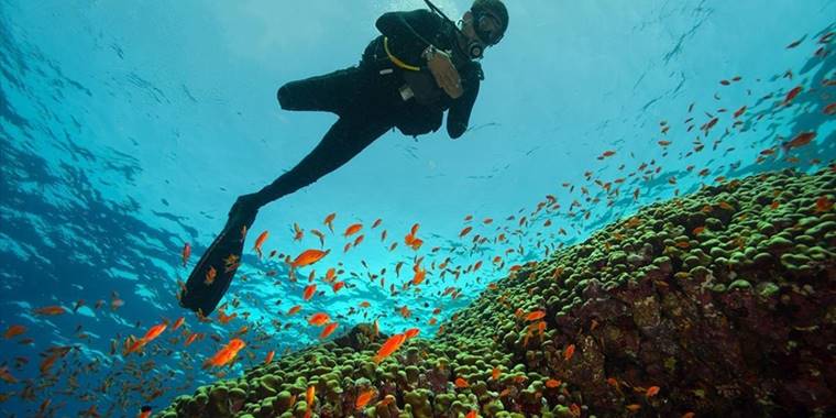 Su altı görüntü yönetmeni Tahsin Ceylan engelli Özgür Akçe'yle Kızıldeniz'e daldı