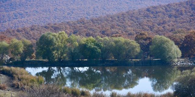 Kırşehir'in meşe ormanıyla kaplı küçük ilçesi: Akçakent