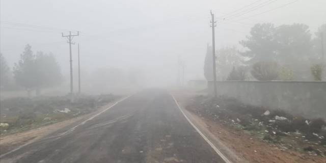 Şanlıurfa'da sis nedeniyle görüş mesafesi 20 metreye kadar düştü