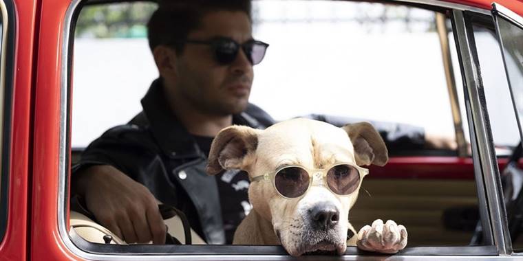 'Dikkat Köpek Var' 30 Aralık'ta vizyona girecek