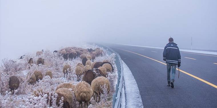 Kars'ta göçerlerin yayladan kar ve sis arasında zorlu dönüş yolculuğu başladı
