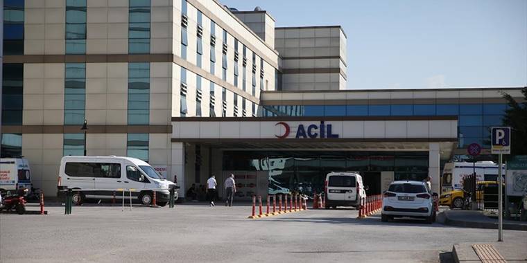 Düzce'de pitbull saldırısına uğrayan kişi yaralandı