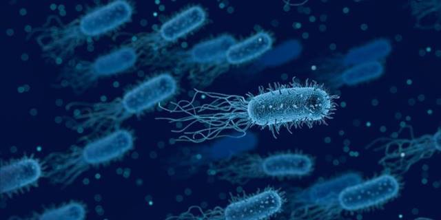 DSÖ: İnsan vücudunda antibiyotiklere karşı artan bakteri direnci, ölüm riskini artırıyor