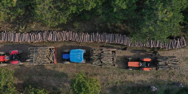 Ormanlarda bakım çalışmalarından elde edilen odunlar orman köylüsüne "yakacak" oluyor