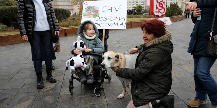 Sivas'ta hayvanseverler sokak hayvanları için basın açıklaması yaptı