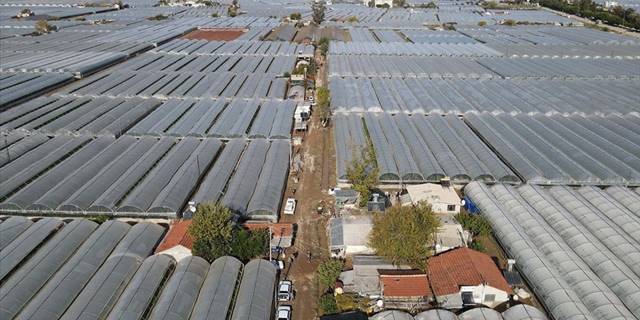 Bakan Kirişci: Antalya genelinde sel felaketinde toplamda 13 bin 220 dekar sera alanı etkilendi