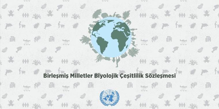 Türkiye, BM Biyolojik Çeşitlilik Sözleşmesi'nin 2024-26 dönem başkanlığını yürütecek